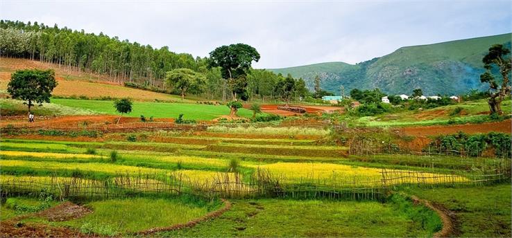 araku valley